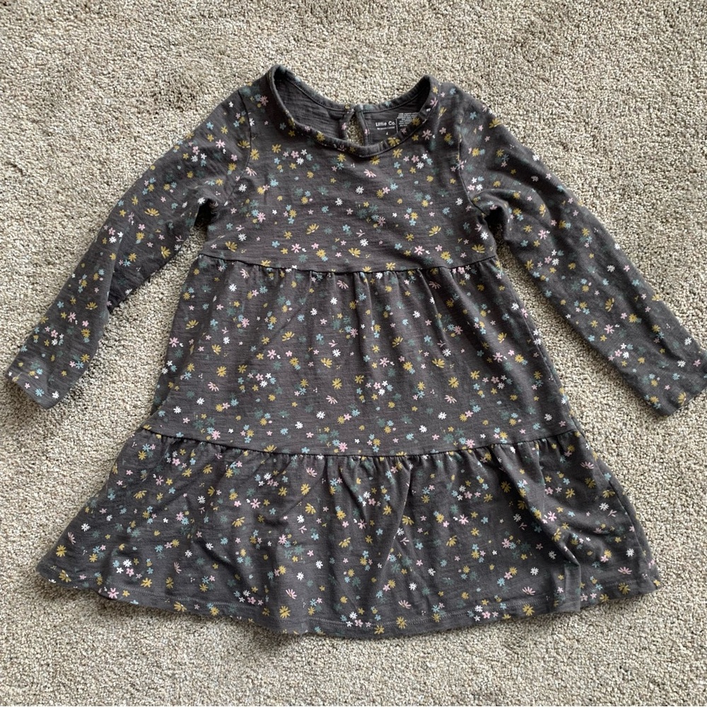 Little Co. size 4 Floral Long-Sleeve Kids Dress